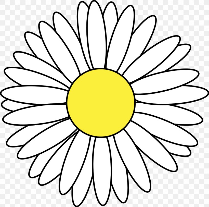 Drawing Clip Art, PNG, 1035x1024px, Drawing, Art, Black And White, Common Daisy, Cut Flowers Download Free
