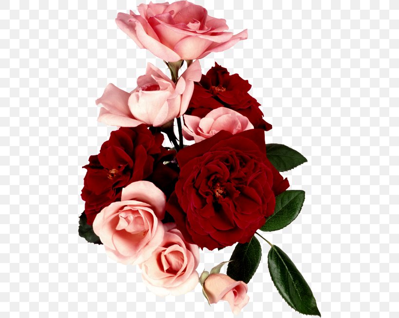 Garden Roses Flower Bouquet Valentine's Day Cabbage Rose, PNG, 500x653px, Garden Roses, Artificial Flower, Cabbage Rose, Cut Flowers, Floral Design Download Free