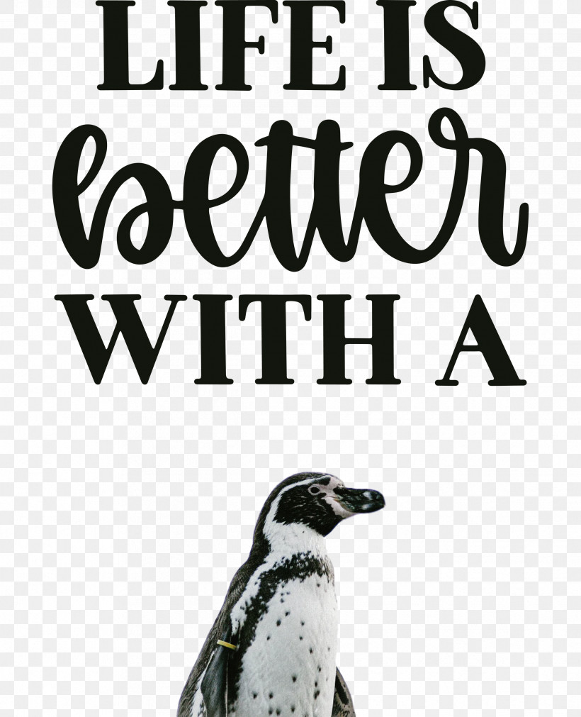 Life Better, PNG, 2432x3000px, Life, Altavista, Beak, Better, Biology Download Free