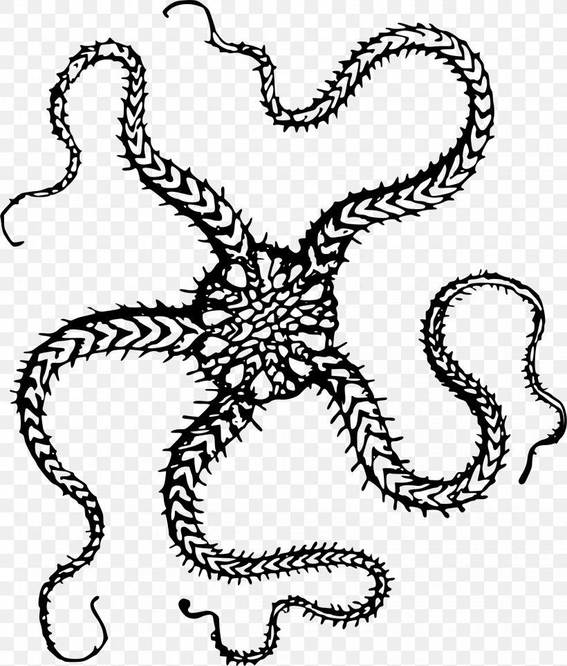 T-shirt Starfish Clip Art, PNG, 2045x2400px, Tshirt, Artwork, Black And White, Brittle Star, Cephalopod Download Free