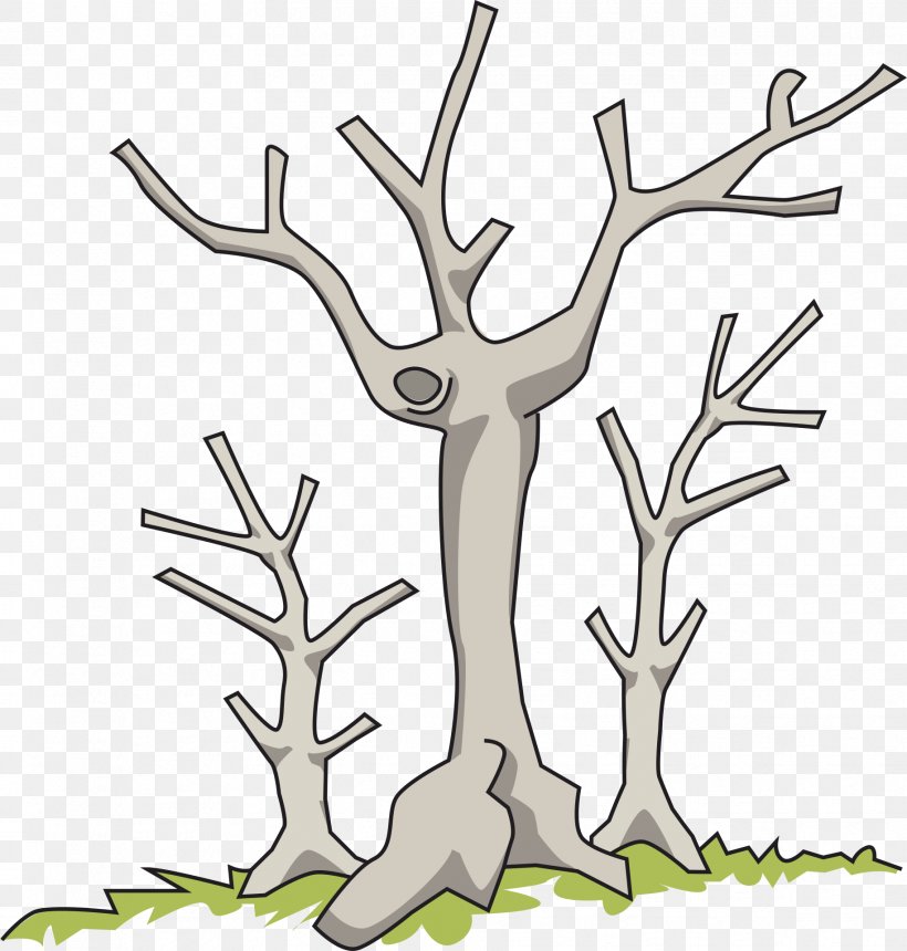 Tree Branch Clip Art, PNG, 1829x1920px, Tree, Antler, Artwork, Branch, Drawing Download Free