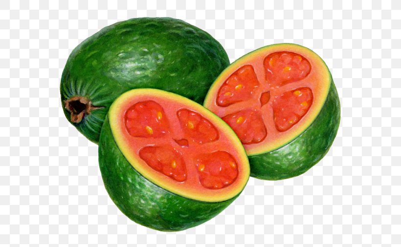 Watermelon Guava Fruit Avocado Tomato, PNG, 640x506px, Watermelon, Avocado, Citrullus, Citrus, Cucumber Gourd And Melon Family Download Free