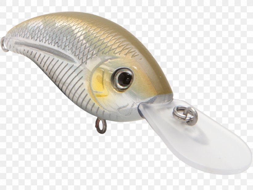 Fishing Baits & Lures, PNG, 1200x900px, Fishing Baits Lures, Bait, Fish, Fishing, Fishing Bait Download Free