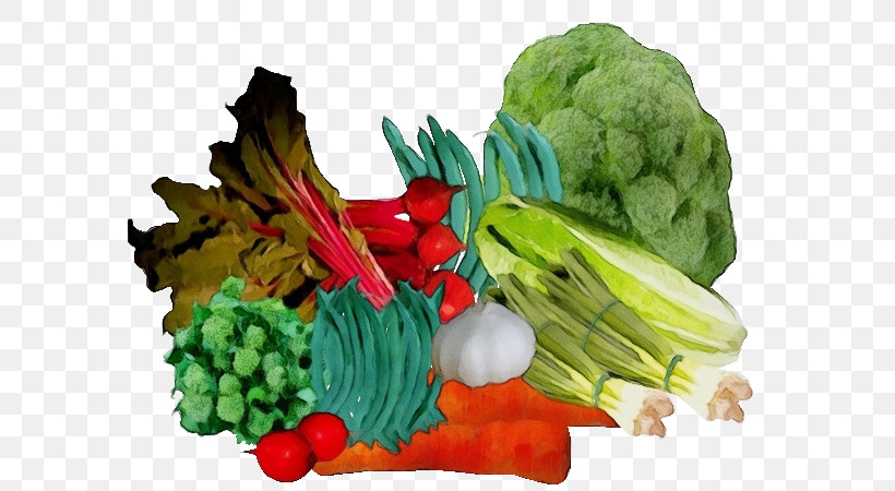 Natural Food Vegetable Superfood Local Food Garnish, PNG, 600x450px, Watercolor, Chard, Dish Network, Fruit, Garnish Download Free