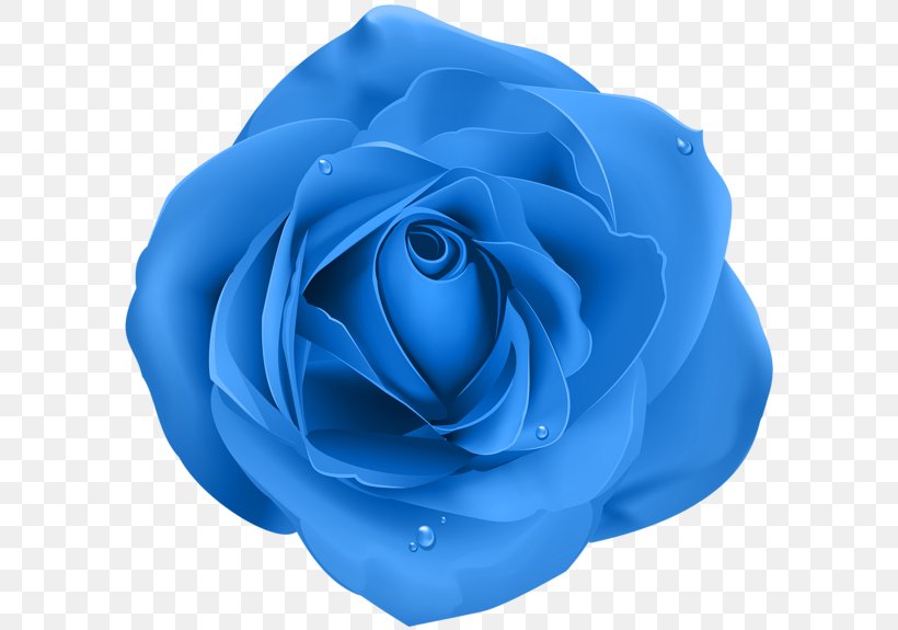 Rose Purple Desktop Wallpaper Clip Art, PNG, 600x575px, Rose, Azure, Blue, Blue Rose, Cobalt Blue Download Free