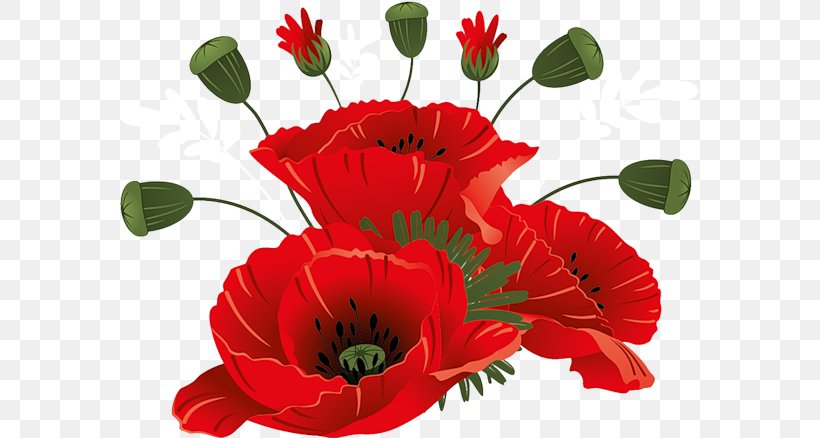 Flower Clip Art, PNG, 580x438px, Flower, Annual Plant, Blume, Coquelicot, Cut Flowers Download Free