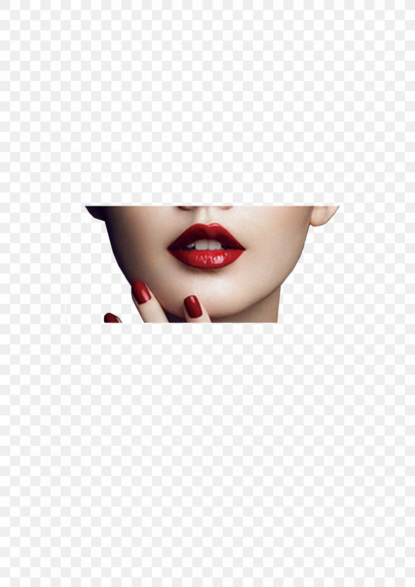 Lip Red Euclidean Vector, PNG, 2480x3508px, Lip, Android, Beauty, Cheek, Chin Download Free