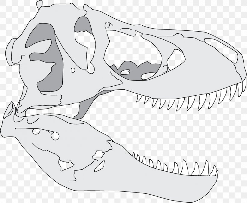 Tyrannosaurus Giganotosaurus Dinosaur Reptile Drawing, PNG, 1200x988px, Watercolor, Cartoon, Flower, Frame, Heart Download Free