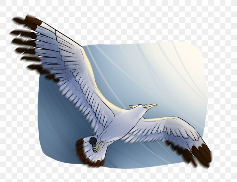 Bird Of Prey Beak Feather Eagle, PNG, 1024x788px, Bird, Animal, Beak, Bird Of Prey, Eagle Download Free