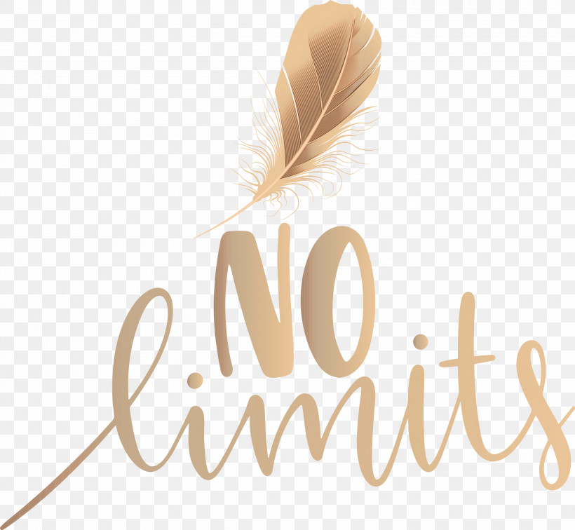 Feather, PNG, 3000x2769px, No Limits, Dream, Feather, Future, Hope Download Free