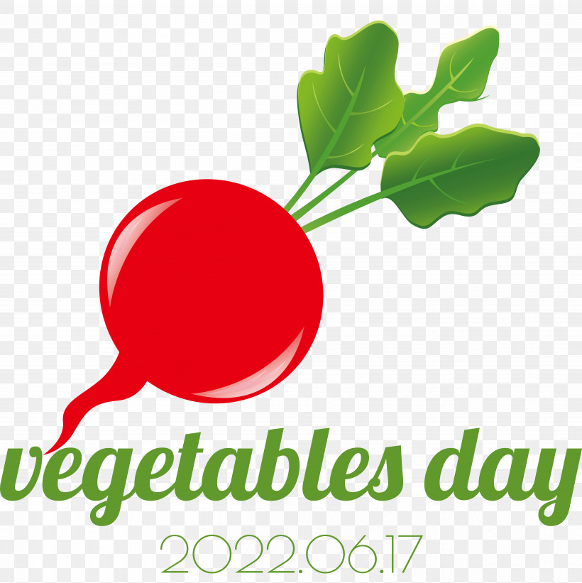 Vegetable Logo Superfood Leaf Radish, PNG, 4856x4866px, Vegetable, Fruit, Leaf, Line, Logo Download Free
