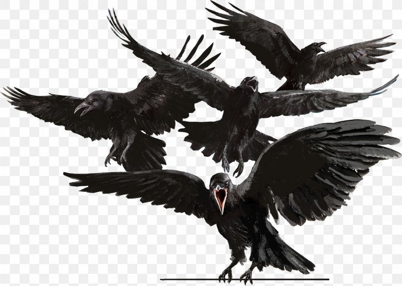 Bird Common Raven The Raven Crow Eagle, PNG, 1400x1000px, Bird, Baltimore Ravens, Beak, Bergeronnette, Bird Of Prey Download Free