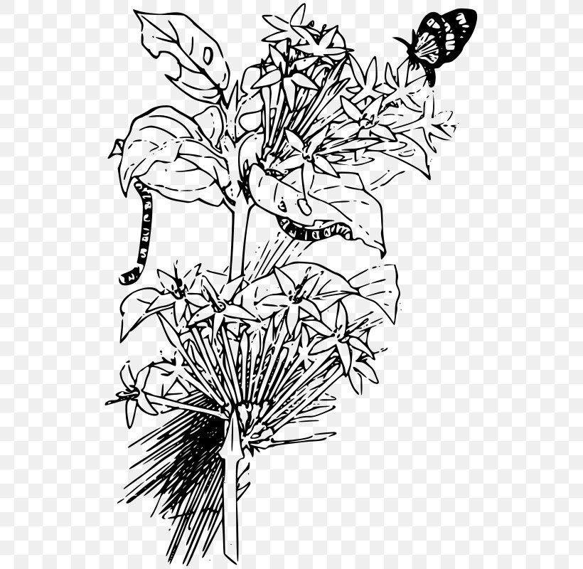 Butterfly Drawing Larva Clip Art, PNG, 529x800px, Butterfly, Art, Artwork, Black And White, Branch Download Free
