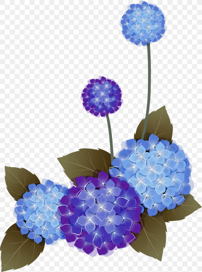 Flower Wreath, PNG, 892x1200px, Flower, Blue, Cornales, Cut Flowers, Floral Design Download Free