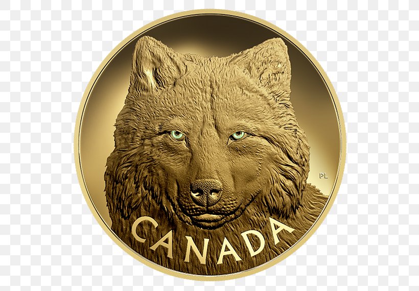 Gray Wolf Silver Coin Gold, PNG, 570x570px, Gray Wolf, Bullion, Bullion Coin, Canada, Canadian Silver Maple Leaf Download Free