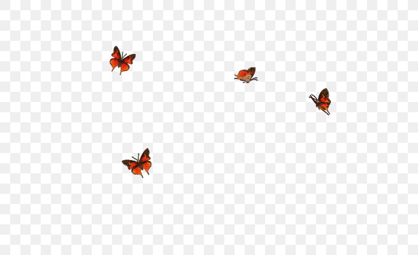 Insect Line Sky Plc Lady Bird Font, PNG, 640x500px, Insect, Atmosphere Of Earth, Bird, Butterfly, Fly Download Free