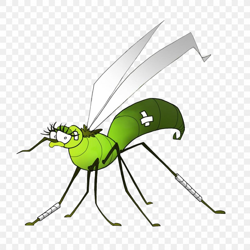 Insect Mosquito Dengue West Nile Fever West Nile Virus, PNG, 1364x1364px, Insect, Arthropod, Beetle, Beneficial Insects, Dengue Download Free