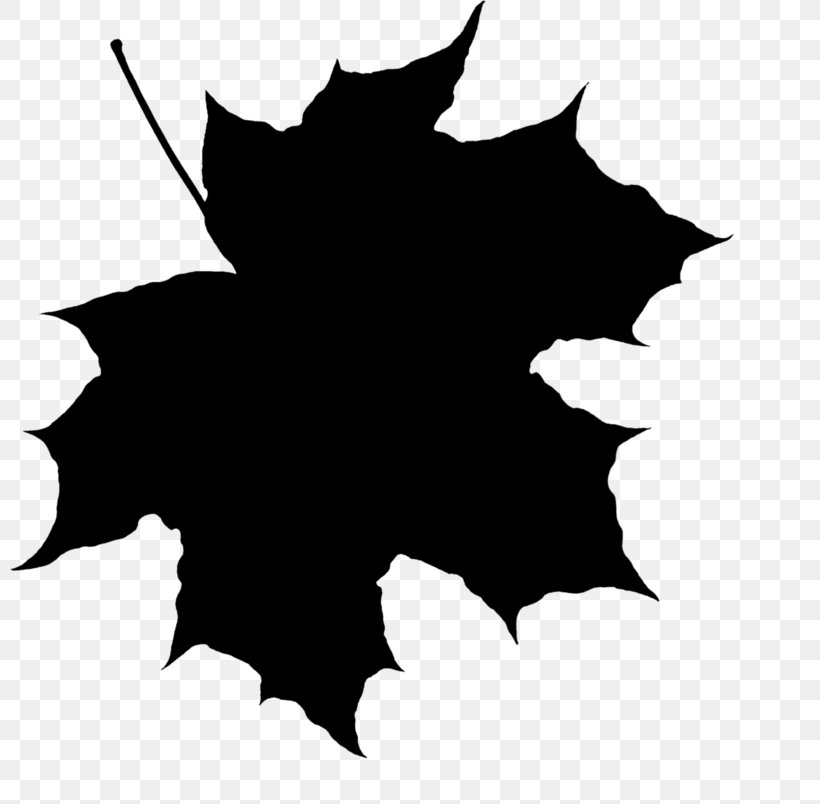 Maple Leaf Drawing Information, PNG, 800x804px, Maple Leaf, Black, Blackandwhite, Cottonwood, Drawing Download Free