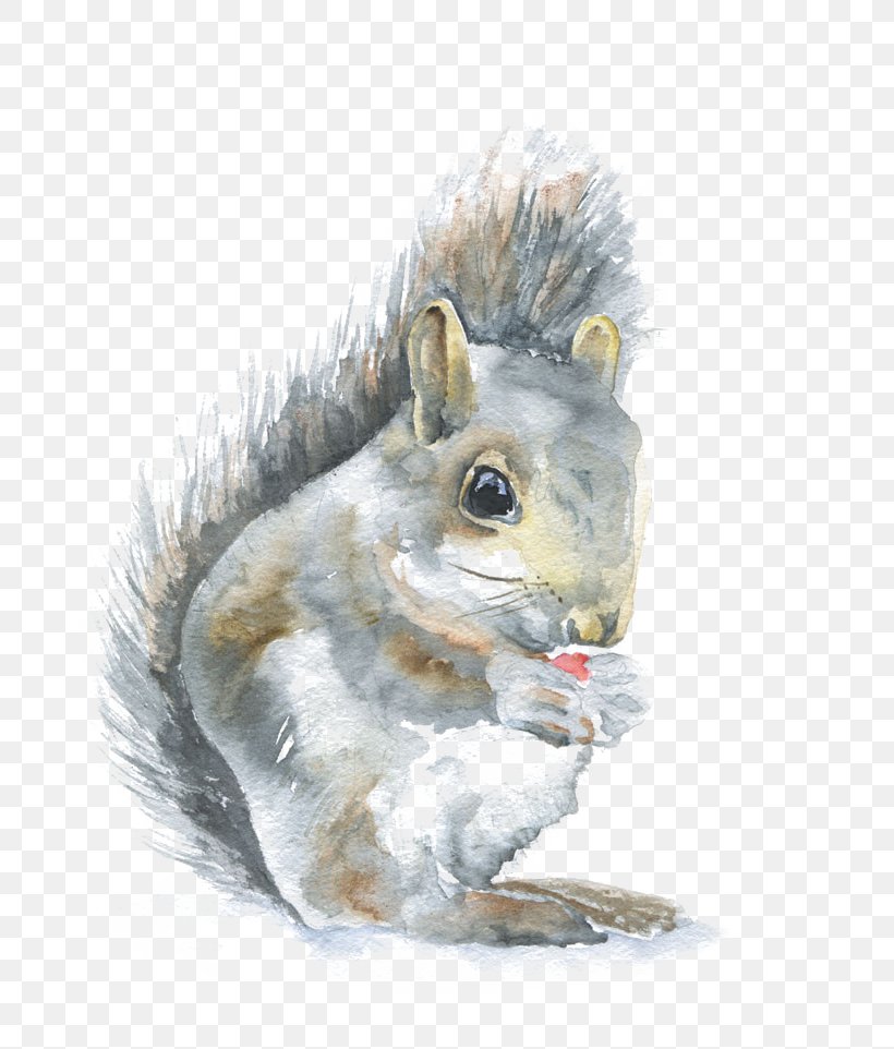 Squirrel Watercolor: Animals Watercolor Painting Wren, PNG, 800x962px, Squirrel, Acrylic Painting Techniques, Animal, Art, Drawing Download Free