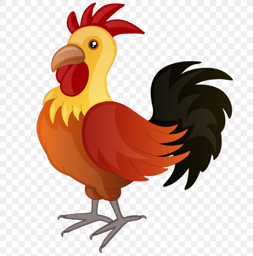 American Game Old English Game Fowl Rooster Kifaranga, PNG, 1013x1024px, American Game, Beak, Bird, Can Stock Photo, Chicken Download Free