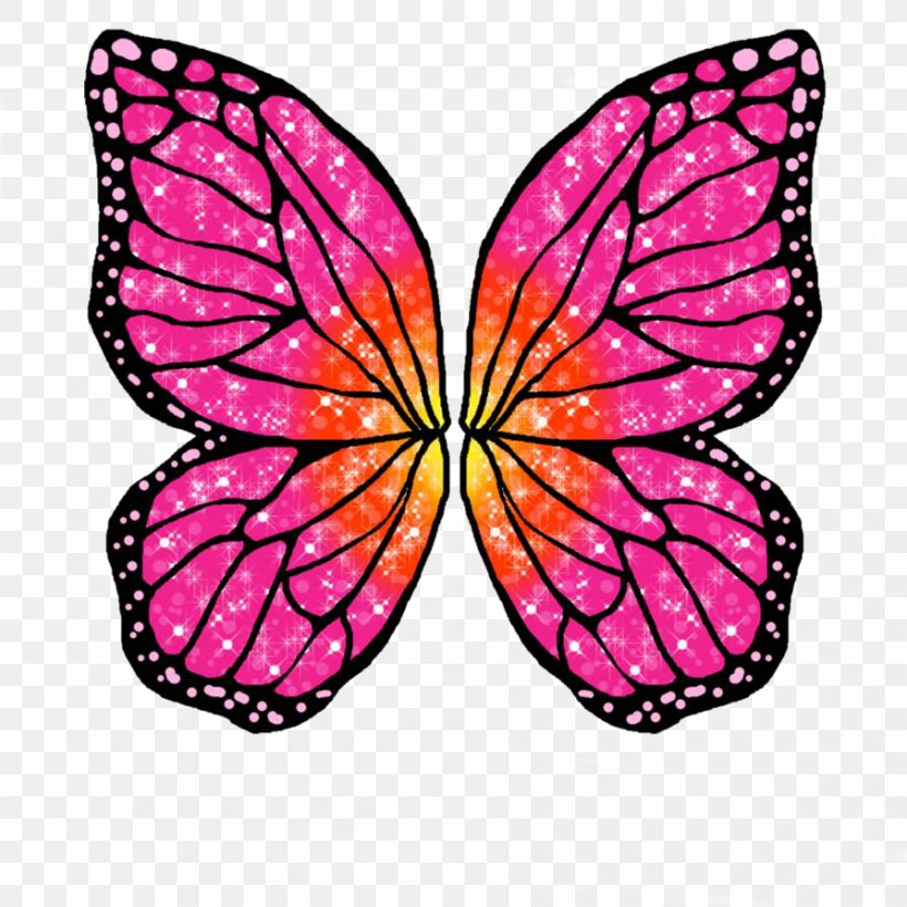Butterfly Rayla Barbie Mariposa Drawing, PNG, 894x894px, Butterfly, Animated, Arthropod, Barbie, Barbie Fairytopia Download Free