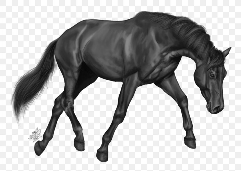 Grayscale Arabian Horse, PNG, 1024x730px, 3d Computer Graphics, Grayscale, Arabian Horse, Architectural Rendering, Black And White Download Free