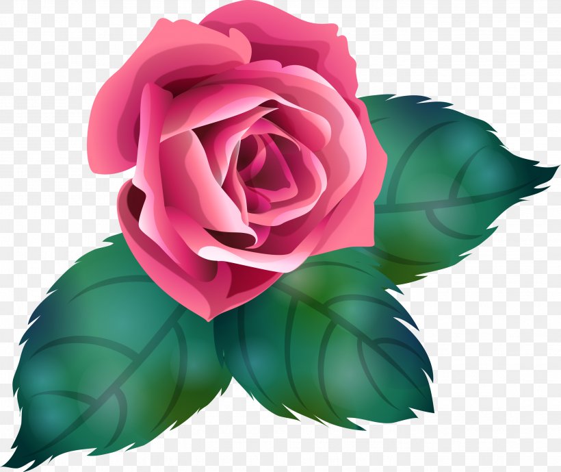 Makhachkala Garden Roses Spa Flower Kizlyar, PNG, 2849x2397px, Makhachkala, Color, Cosmetology, Cut Flowers, Flower Download Free