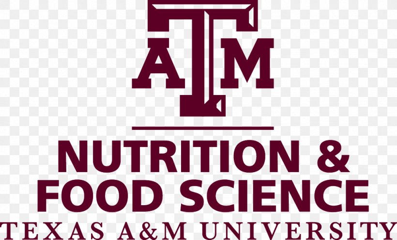 Mays Business School Texas A&M College Of Veterinary Medicine & Biomedical Sciences Dwight Look College Of Engineering Memorial Student Center Austin Community College District, PNG, 1024x619px, Mays Business School, Area, Austin Community College District, Brand, College Download Free
