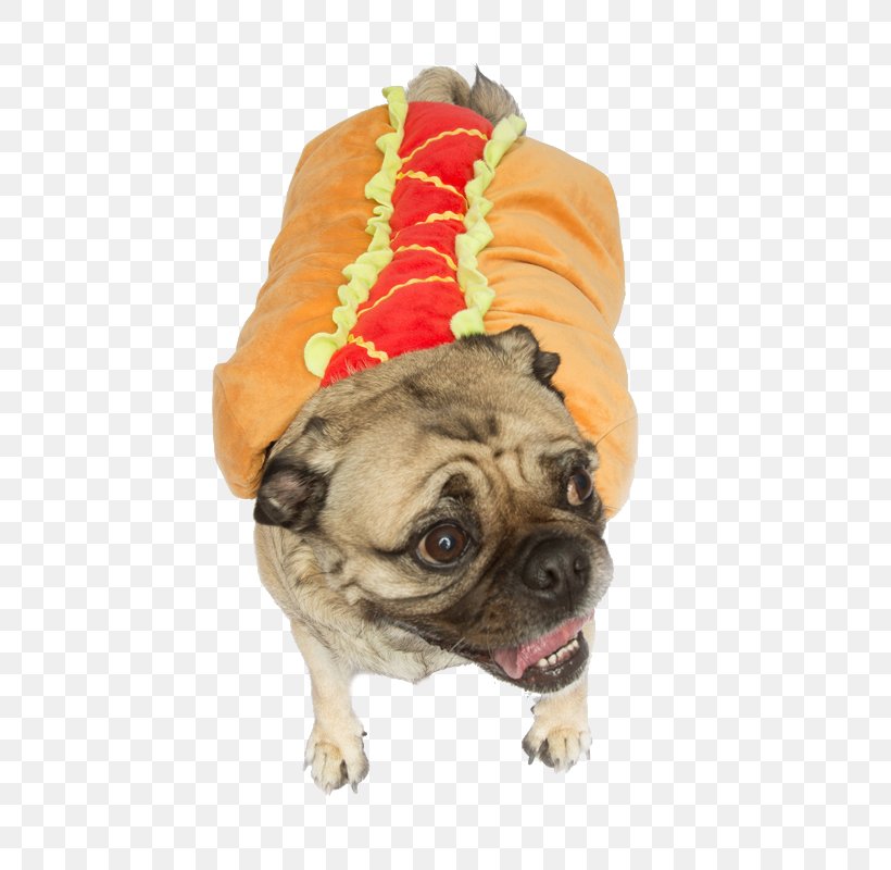 Pug Puppy Dog Breed Companion Dog Costume, PNG, 800x800px, Pug, Breed, Bun, Carnivoran, Clothing Download Free