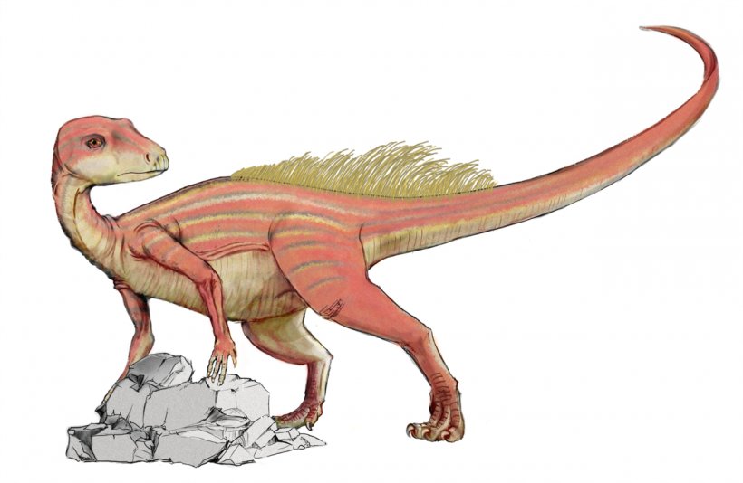 Abrictosaurus Heterodontosaurus Sinemurian Dinosaur Early Jurassic, PNG, 1280x834px, Abrictosaurus, Amniote, Animal Figure, Bipedalism, Dinosaur Download Free