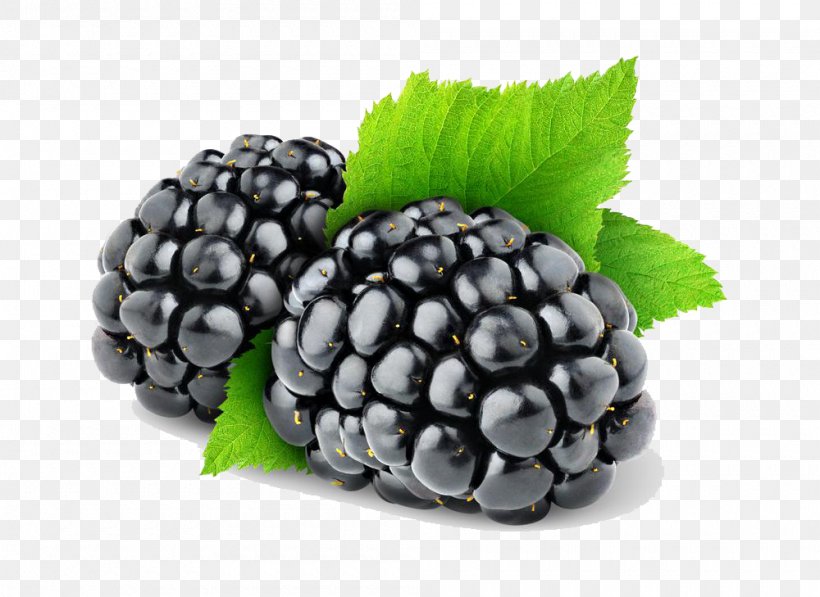 BlackBerry Fruit, PNG, 1000x729px, Blackberry, Berry, Bilberry, Blackberry Messenger, Blueberry Download Free