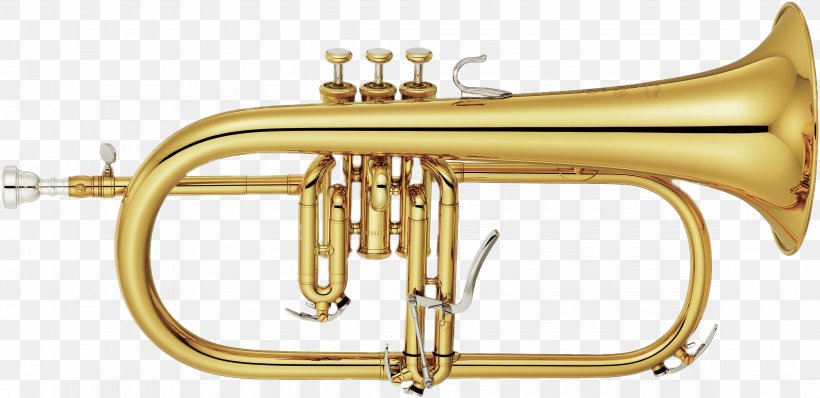 Brass Instruments, PNG, 4698x2282px, Flugelhorn, Alto Horn, Bobby Shew, Bore, Brass Download Free