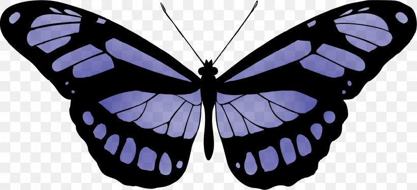 Butterfly Color Clip Art, PNG, 2399x1097px, Butterfly, Arthropod, Black And White, Blue Butterfly, Brush Footed Butterfly Download Free