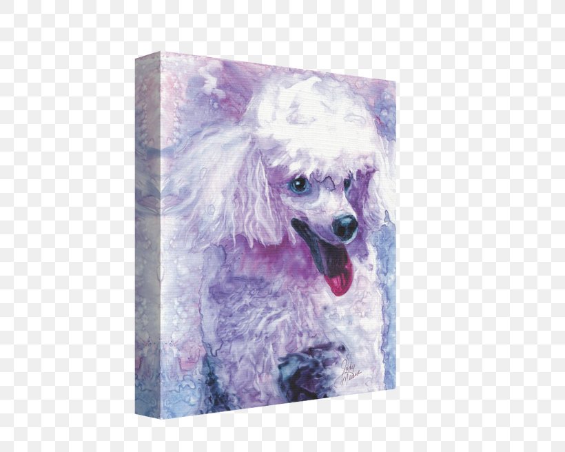 Miniature Poodle Dog Breed Snout Purple, PNG, 500x656px, Miniature Poodle, Breed, Canvas, Carnivoran, Dog Download Free