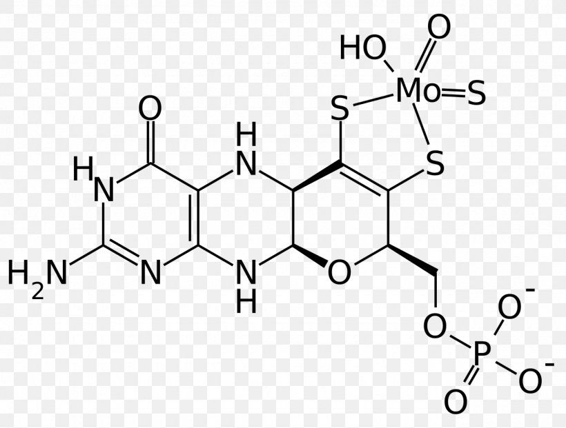 10-Formyltetrahydrofolate Tyrosine Hydroxylase Chemistry Organic Compound, PNG, 1280x970px, Tyrosine Hydroxylase, Acid, Aldehyde, Area, Auto Part Download Free