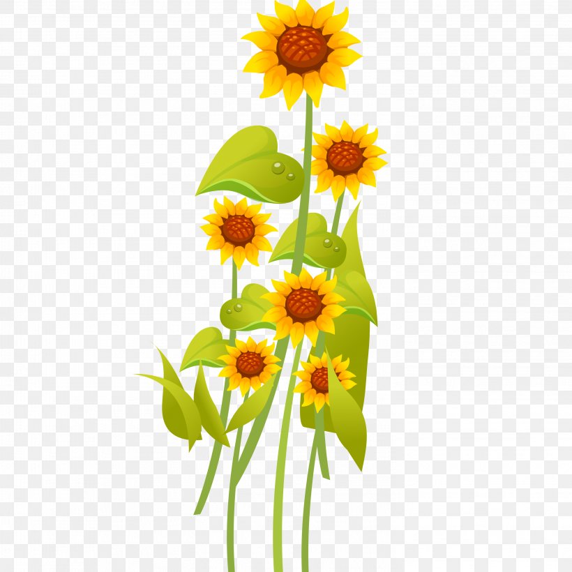 Common Sunflower Cartoon Drawing, PNG, 2953x2953px, Common Sunflower, Cartoon, Cut Flowers, Dahlia, Daisy Download Free