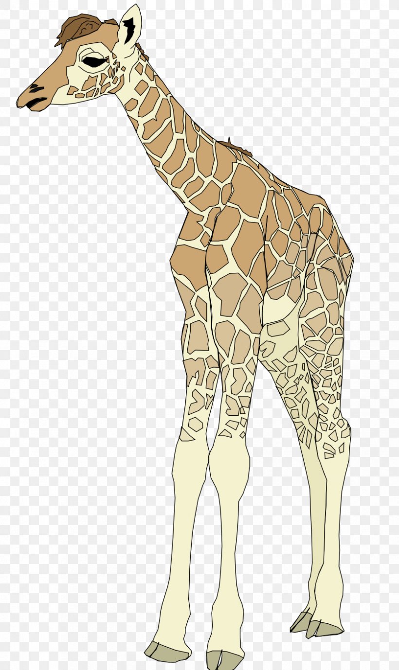 Clip Art, PNG, 837x1407px, Northern Giraffe, Animal Figure, Deer, Drawing, Fauna Download Free