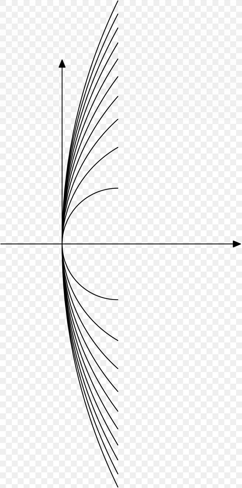 Leaf White Point Line Art Angle, PNG, 1025x2067px, Leaf, Area, Black And White, Diagram, Feather Download Free
