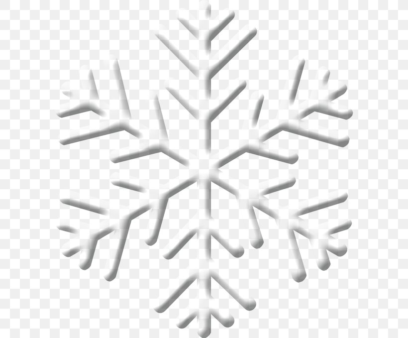 Snowflake Graphic Design Symmetry Pattern, PNG, 600x679px, Snowflake, Black And White, Floral Symmetry, Material, Snow Download Free