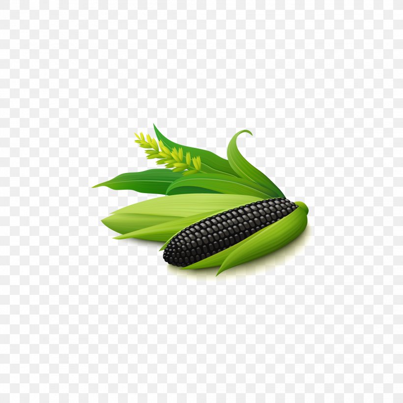 Maize Vegetable Euclidean Vector Food, PNG, 2083x2083px, Maize, Corncob, Food, Grass, Green Download Free