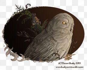 Snowy Owl - Tawny Owl Snowy Owl Great Grey Owl Great Horned Owl PNG