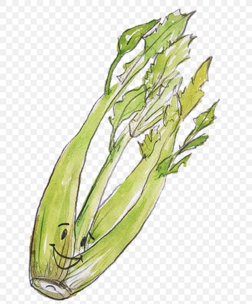 Allium Fistulosum Leaf Vegetable Scallion, PNG, 675x990px, Allium Fistulosum, Allium, Asparagus, Celery, Chard Download Free