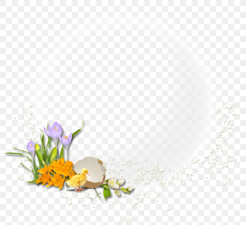 Easter Egg Desktop Wallpaper Flower, PNG, 800x750px, Easter, Easter Egg, Egg, Email, Flora Download Free