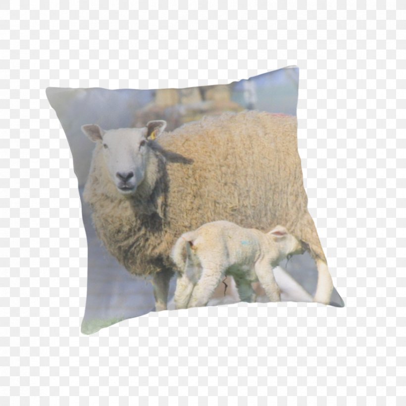 Sheep Throw Pillows Cushion Goat, PNG, 875x875px, Sheep, Cow Goat Family, Cushion, Goat, Goat Antelope Download Free