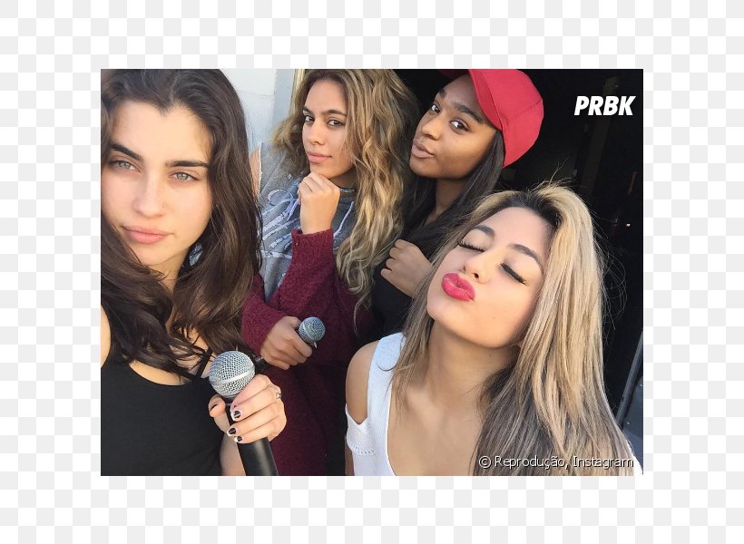 Camila Cabello Normani Lauren Jauregui Dinah Jane Fifth Harmony, PNG, 624x600px, Watercolor, Cartoon, Flower, Frame, Heart Download Free