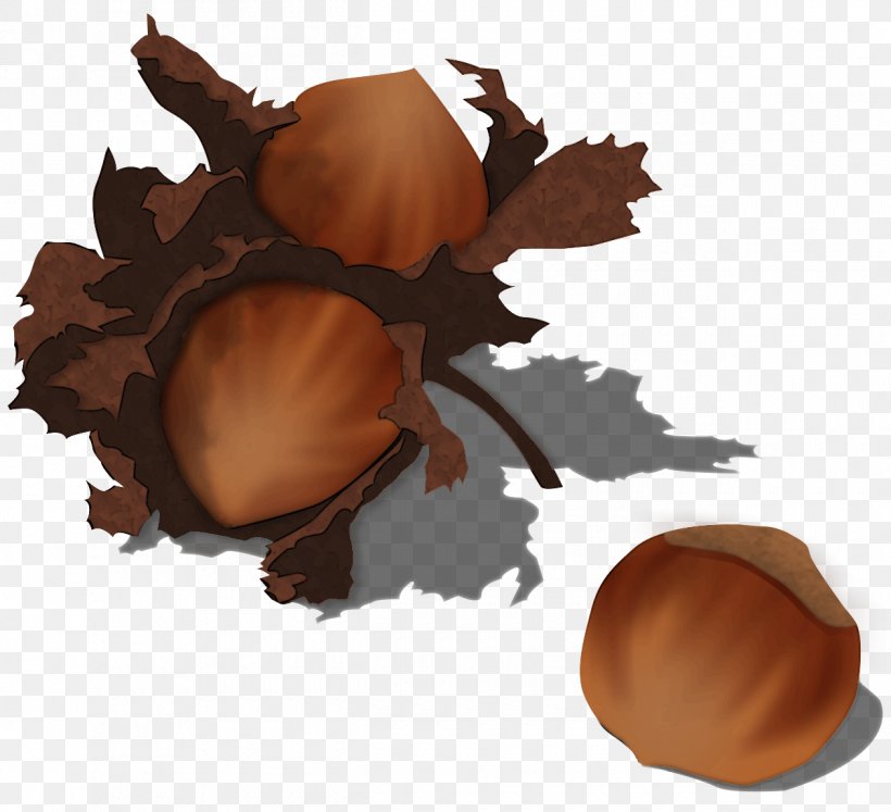 Clip Art Acorn Image Hazelnut, PNG, 1260x1149px, Acorn, Food, Hazelnut, Nut, Upload Download Free