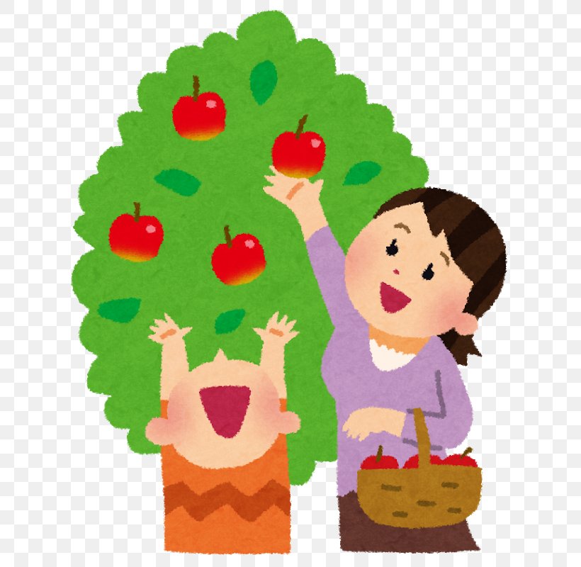 Fruit Apple Illustration 青リンゴ Juice, PNG, 684x800px, Fruit, Apple, Art, Asian Pear, Cartoon Download Free