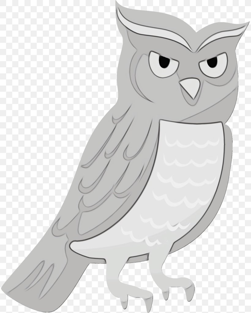 Owl White Bird Bird Of Prey Cartoon, PNG, 816x1024px, Watercolor, Beak, Bird, Bird Of Prey, Cartoon Download Free