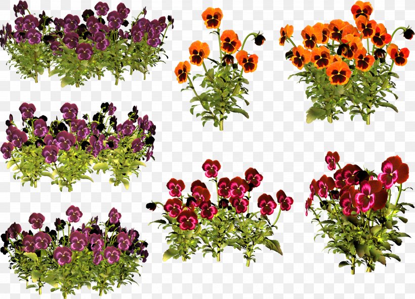 Pansy Floral Design Violet Annual Plant Clip Art, PNG, 3549x2558px, Pansy, Annual Plant, Cut Flowers, Flora, Floral Design Download Free