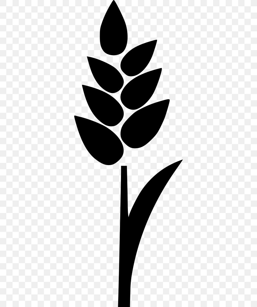 rice plant clipart black and white